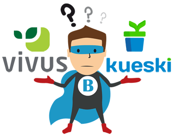 Vivus vs Kueski